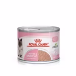 Royal Canin Mother & Babycat Can – Canned food for kittens 1-4 months old and pregnant mother cats, 195g